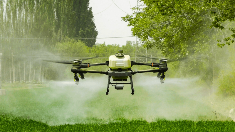 微信截圖_20250214151610